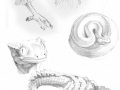 Animal_Anatomy_sketches___8_by_shadow_wolf.jpg